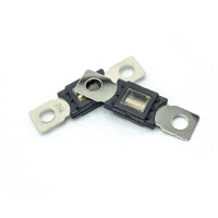 WATTSTUNDE® ANM Hochlast-Streifen-Sicherung 2x80A 4 WATTSTUNDE® ANM Hochlast-Streifen-Sicherung 2x80A – Bild 2